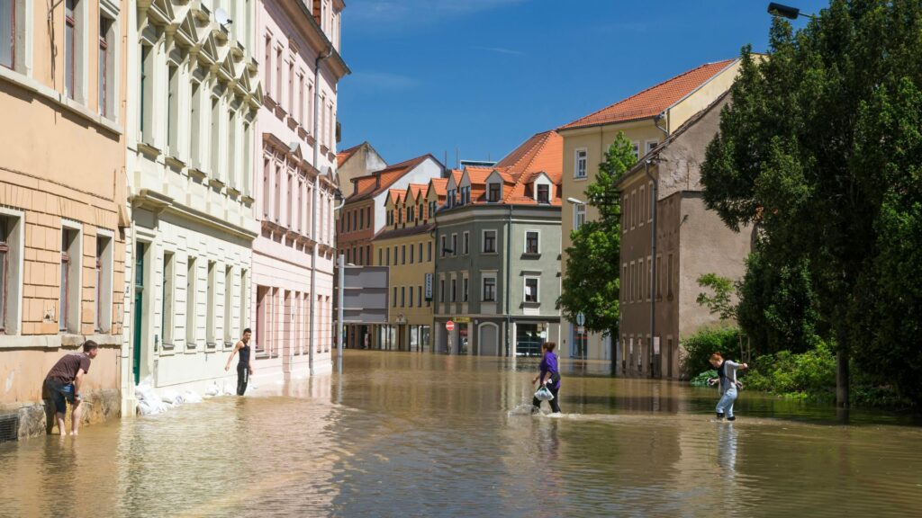 water extraction and repair